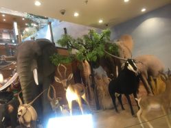 -卡通尼·Safari非洲探索乐园·生日会(金桥国际商业广场店)