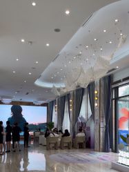 -深圳美莱医疗美容医院