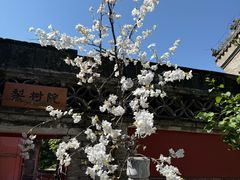 -潭柘寺景区