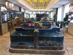 水产区-骏莱海鲜鱼港(五角场店)