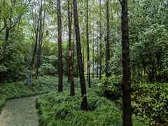 -仁恒西郊花园