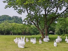 -柯岩风景区
