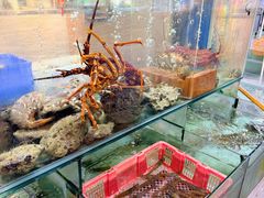 -寻味顺德·南记酒家·传统顺德菜·鱼生(广源路店)