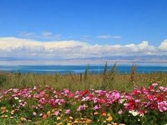 -青海湖国家重点风景名胜区