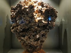 -甘肃地质博物馆