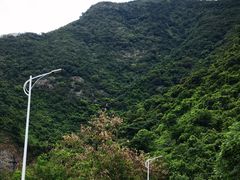 -梧桐山风景名胜区