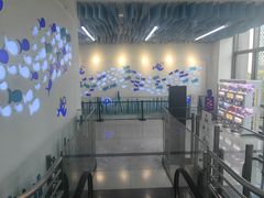 -新荟城(望京店)