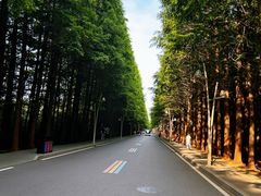 -日照海滨国家森林公园