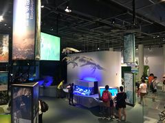 -香港科学馆