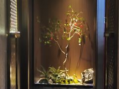 -江南足纪·影院足道·轻奢SPA(红山6979店)