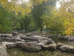 -莲花池公园