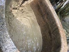 -100蛋泥浆浴