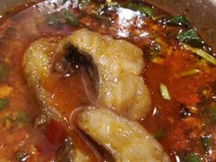 -肖肖酸萝卜鱼火锅(总店)