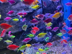 -威海华夏城景区