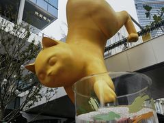 -深圳湾万象城(南山店)