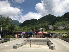 -王顺山国家森林公园