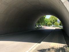 -尚贤河湿地
