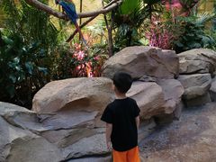 -杭州开元森泊度假乐园