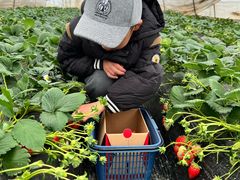 -小鱼草莓采摘园农家乐·小鱼餐厅