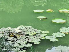 -云溪植物园