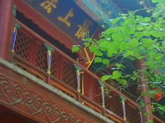 -大觉寺-停车场