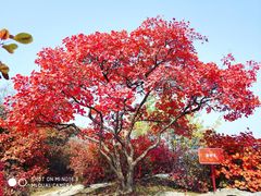 -周口店坡峰岭风景区