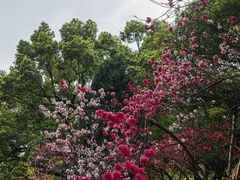 -无锡惠山寺