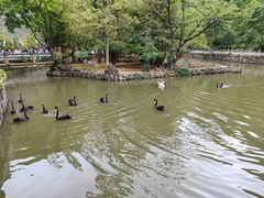-黔灵山公园