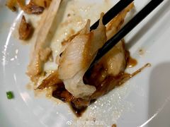 -海派美食·家宴海鲜青岛菜·石锅鲽鱼头(东方城店)