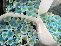 -循礼门鲜花花市(武汉循礼门店)