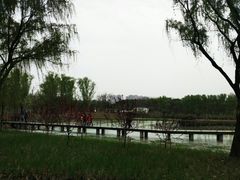 -昆山城市生态森林公园