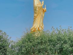 -广州莲花山旅游区