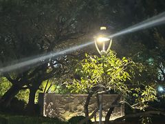 -金鸡山公园