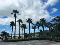 -普陀山风景名胜区-千步大沙