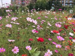 -长白山万达喜来登度假酒店