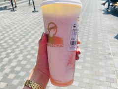 -LELECHA乐乐茶(三里屯店)