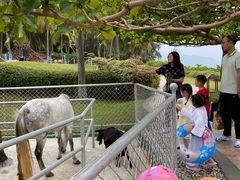 -三亚亚龙湾天域度假酒店