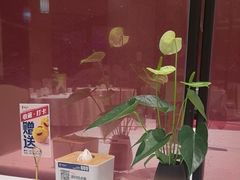 -眉州东坡(鸿坤店)