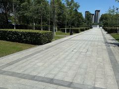 -映月湖中央公园