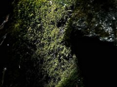 -腾冲云峰山