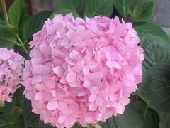 -隔壁老王·家常云南菜(皇冠店)
