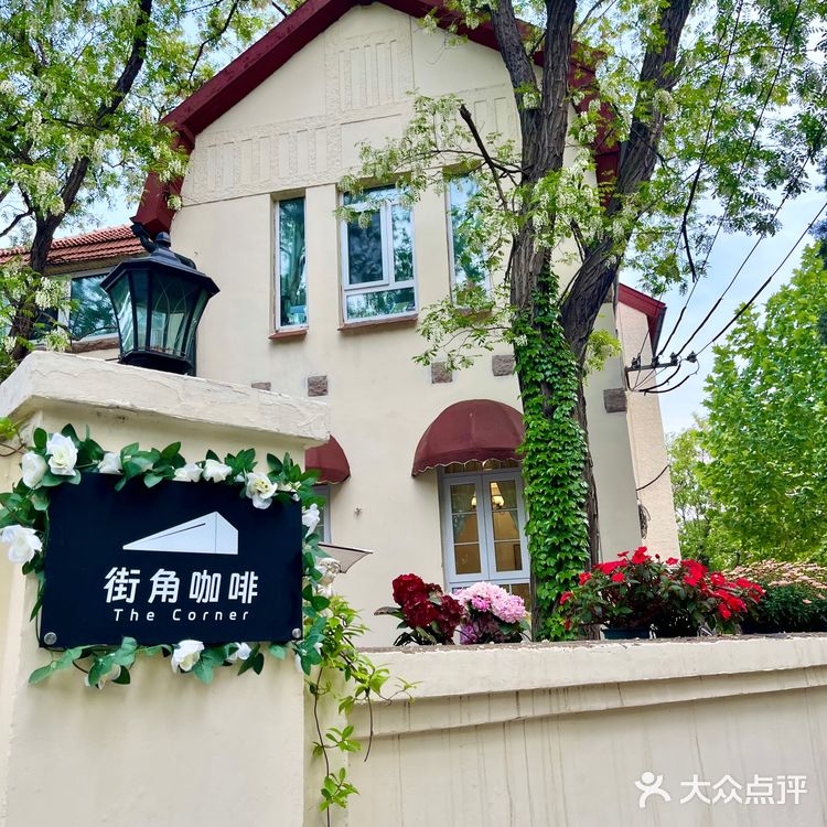 小院里的午后时光