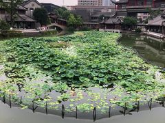 -龙潭水乡