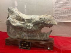 -哈密雅丹大海道景区