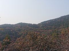 -府君山公园