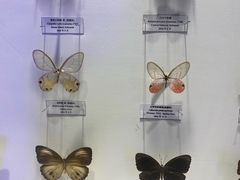 -吉林省自然博物馆
