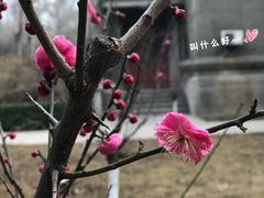 -山东师范大学(千佛山校区)