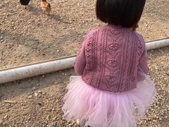 -甜心庄园·甜心草莓采摘园(西青中北店)