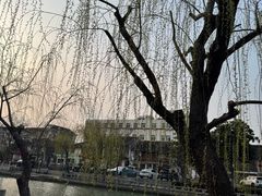 -三林塘老街