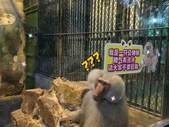 -无锡动物园·太湖欢乐园